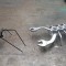 IJTRA_Spider