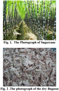 Bagasse
